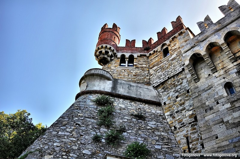 cst (4).jpg