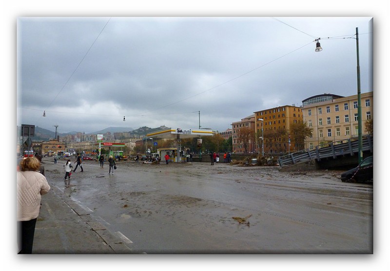 P1010165.jpg