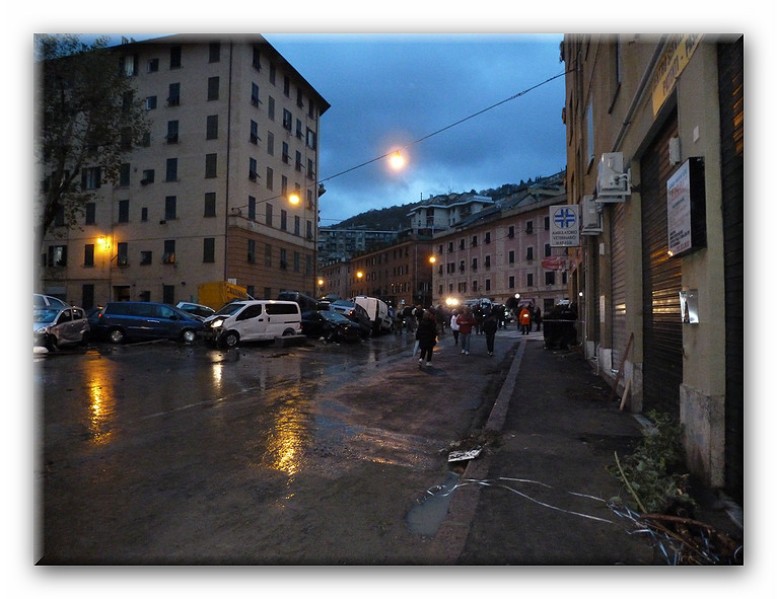 P1010220.jpg