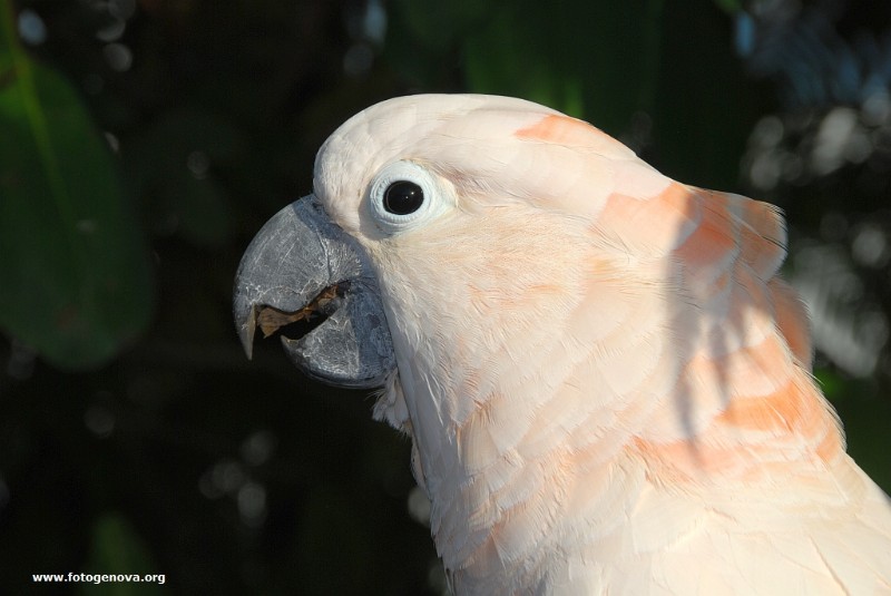 DSC_6607.jpg