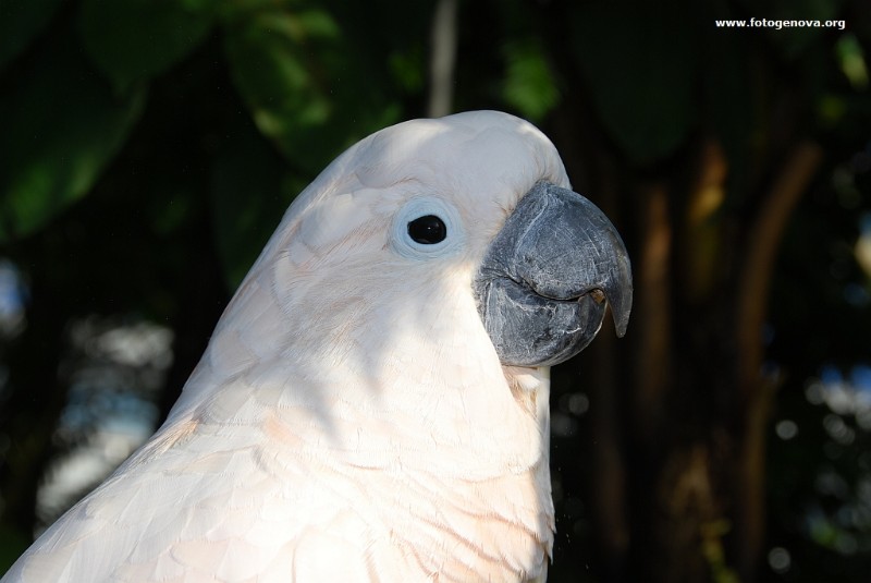 DSC_6619.jpg