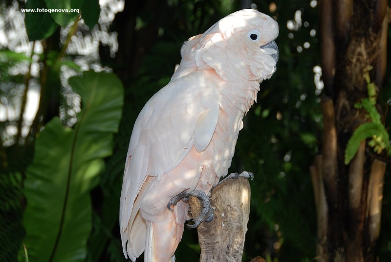DSC_6627.jpg
