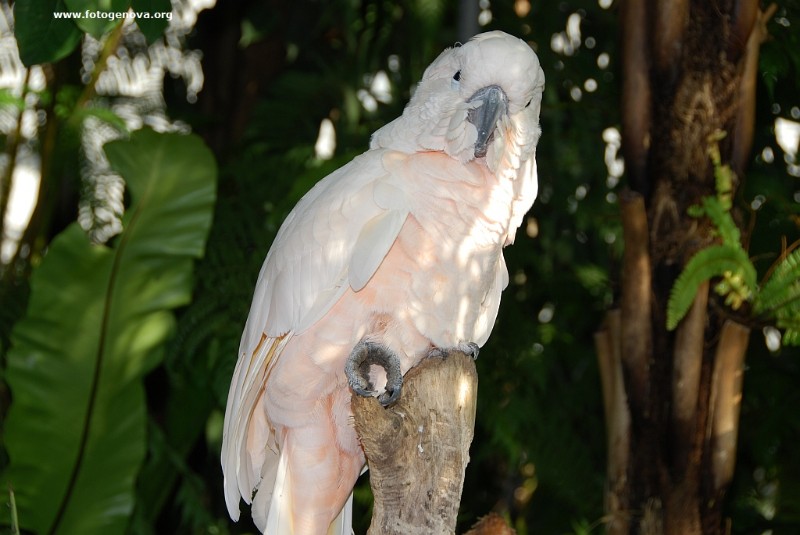 DSC_6628.jpg