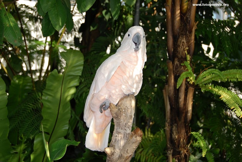 DSC_6635.jpg