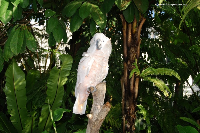 DSC_6654.jpg