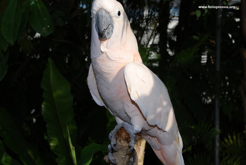 DSC_6588.jpg