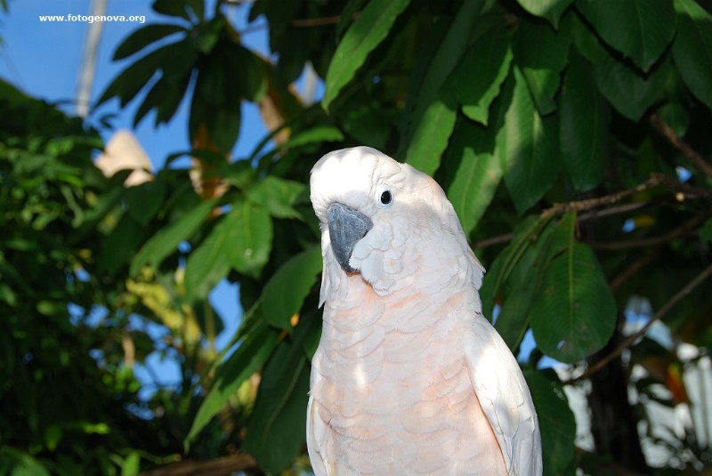 DSC_6669.jpg