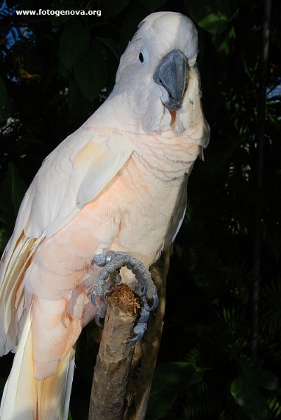 DSC_6673.jpg