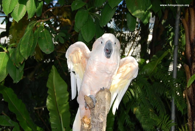 DSC_6686.jpg