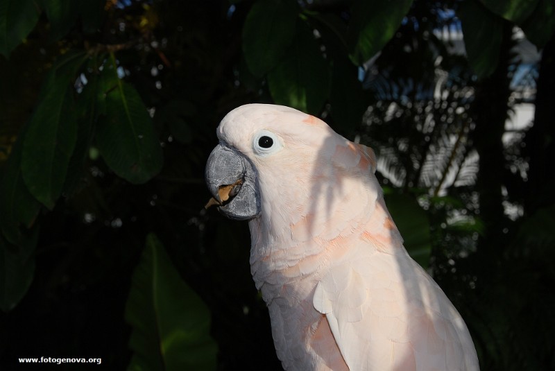 DSC_6604.jpg