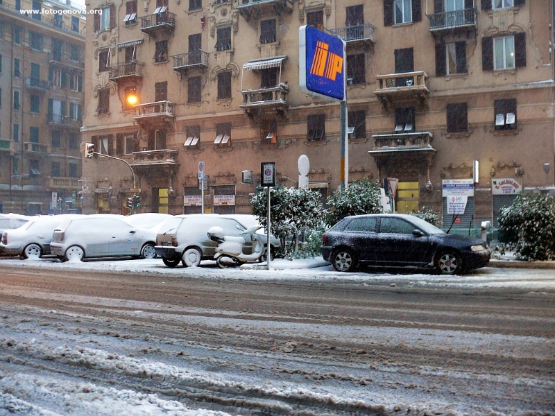 P1040913a.jpg
