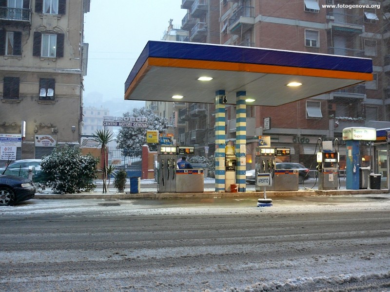 P1040918a.jpg