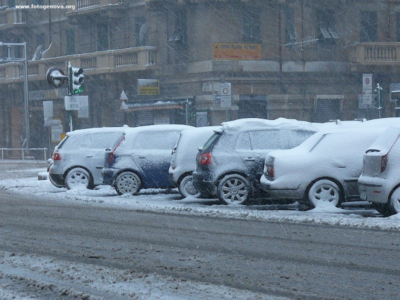 P1040935a.jpg