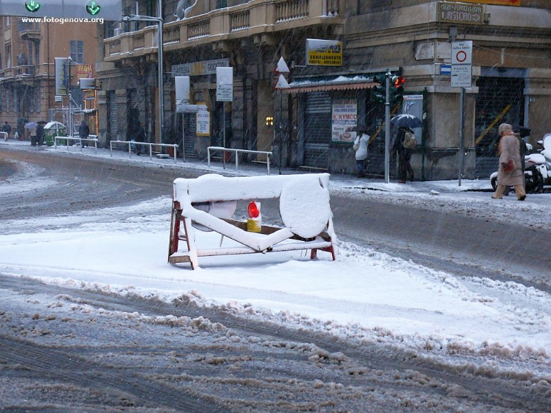 P1040950a.jpg