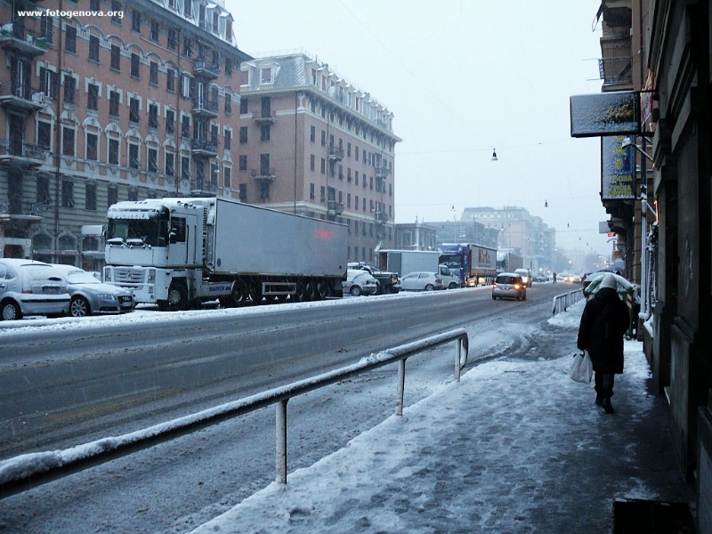 P1040992a.jpg