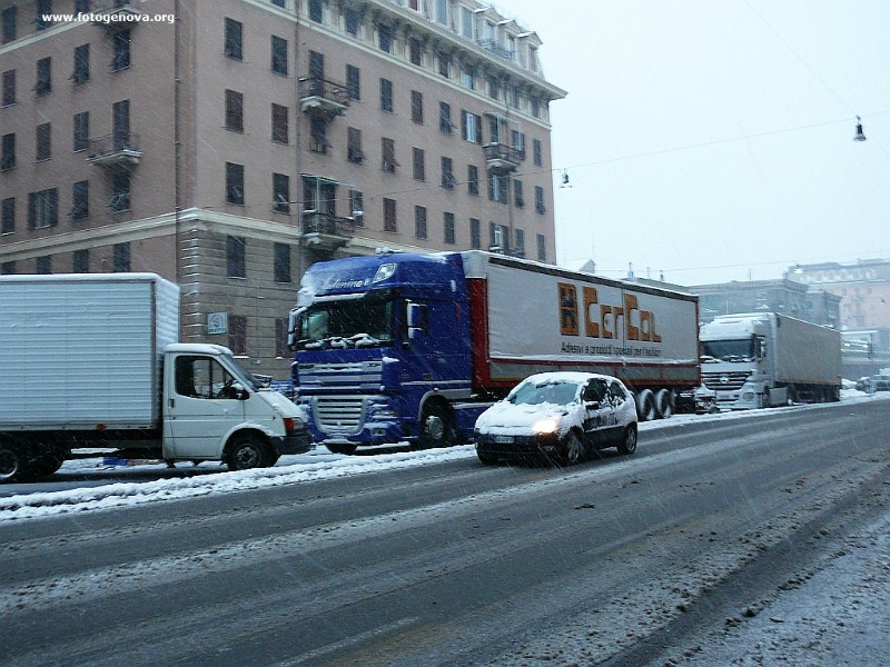 P1040999a.jpg