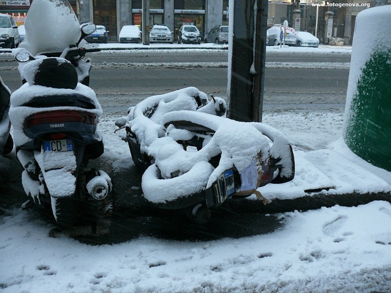 P1050029a.jpg
