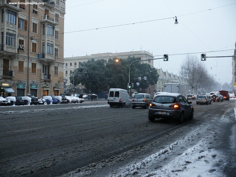P1050035a.jpg