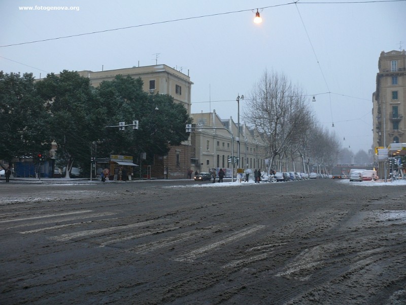 P1050037a.jpg