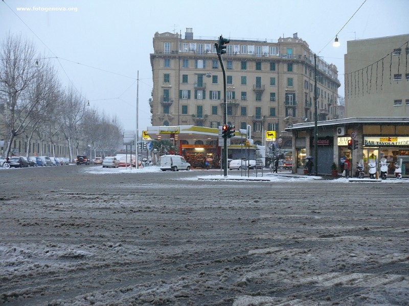 P1050049a.jpg