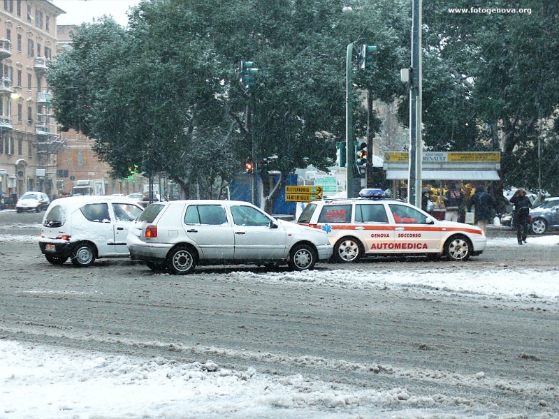 P1050056a.jpg