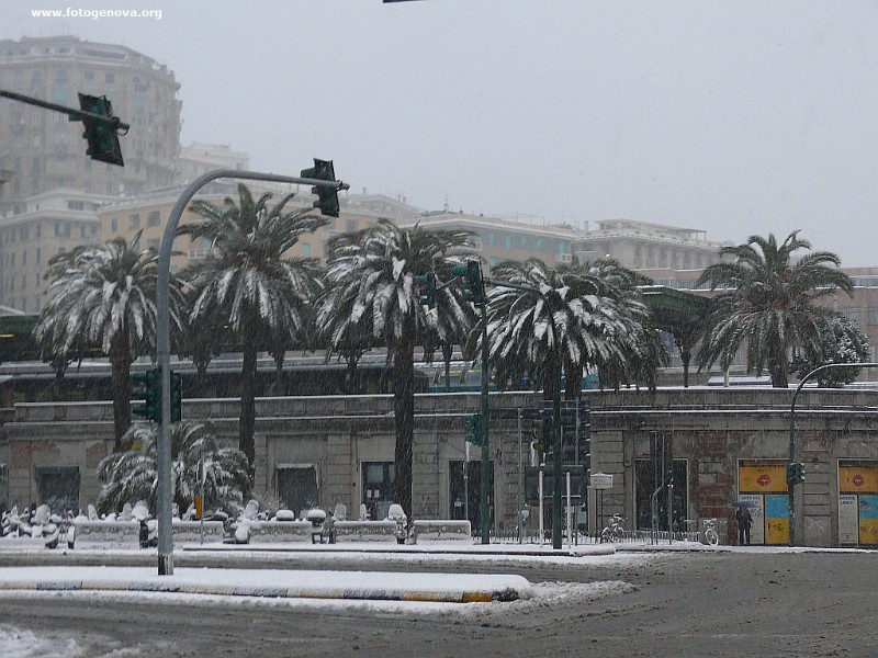 P1050126a.jpg