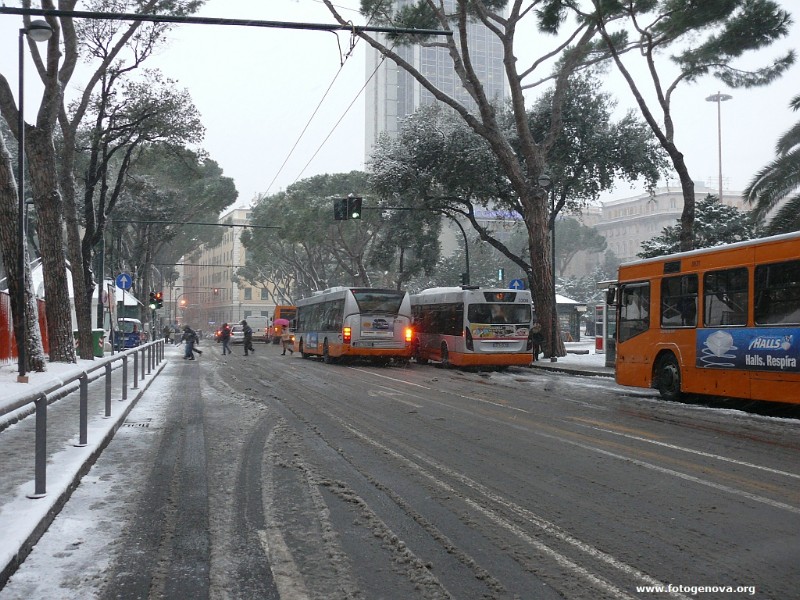 P1050140a.jpg