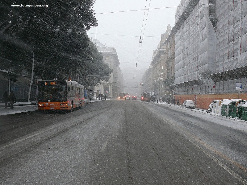 P1050157a.jpg