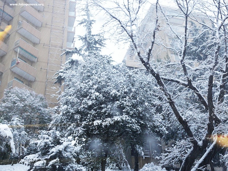 P1040904a.jpg