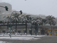 P1050126a.jpg