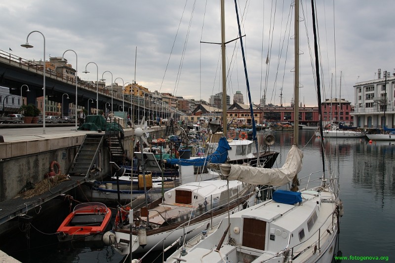 city (39).jpg
