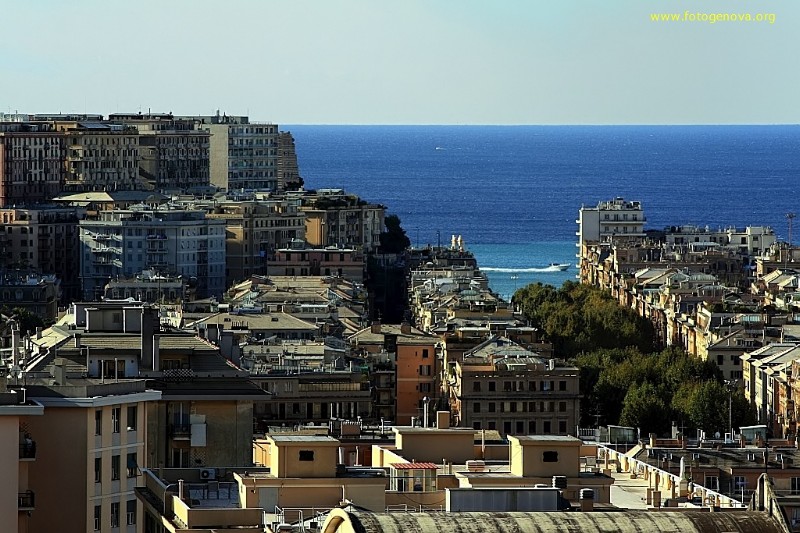 city (16).jpg
