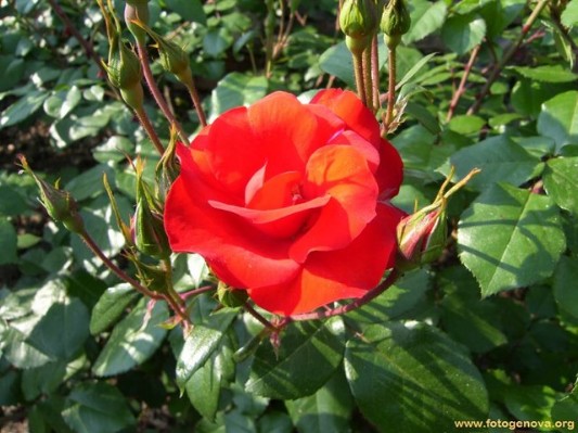 photo_5.jpg
